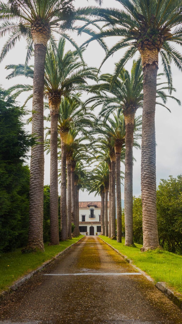 ¡Pasear por aquí te hará sentricomo un verdadero Indiano!