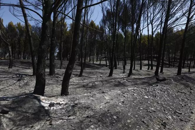 Los alcaldes de la zona quemada, indignados con las tareas forestales en época de calor