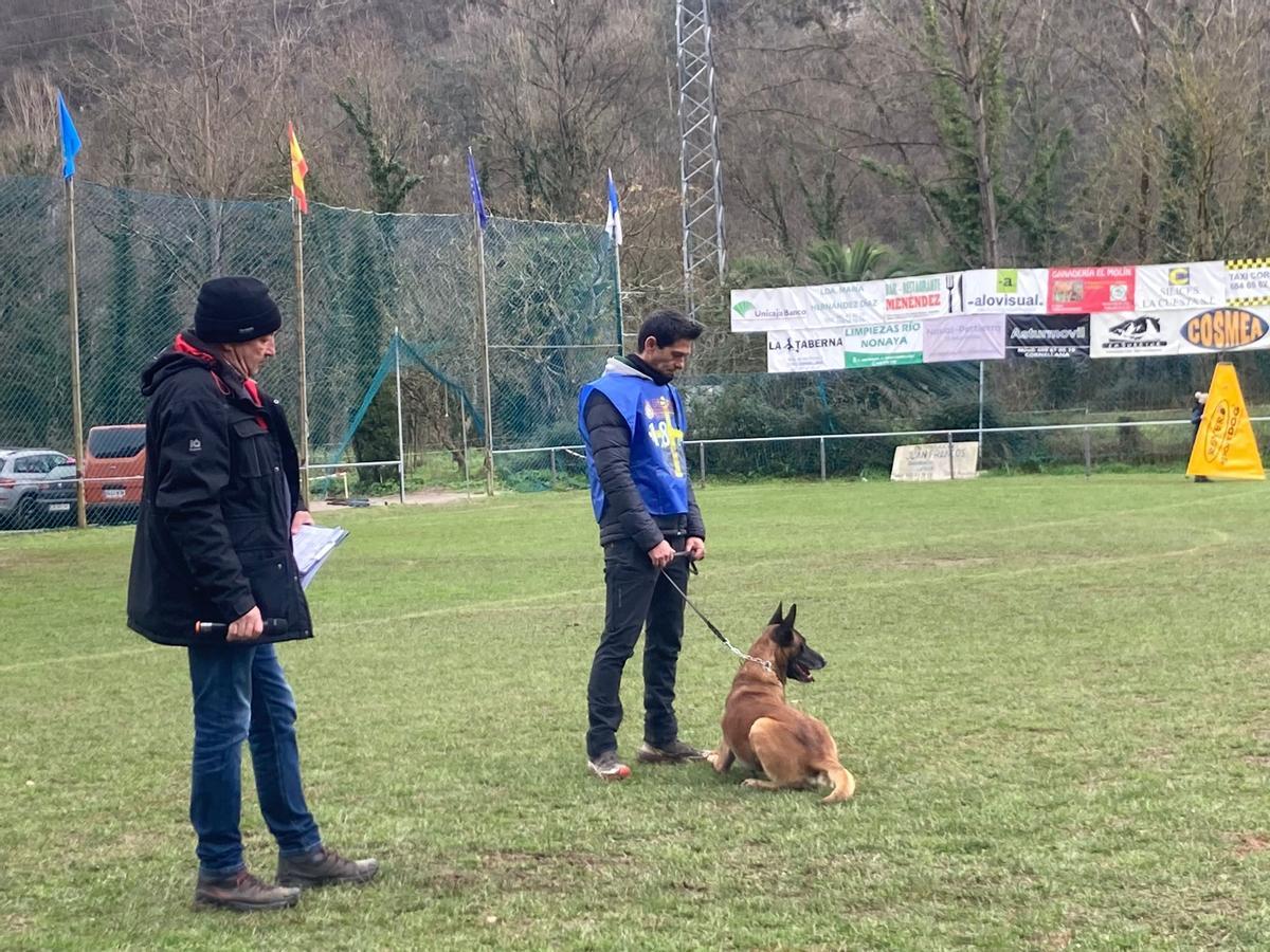 Gélida mañana de campeonato de adiestramiento canino en Cornellana