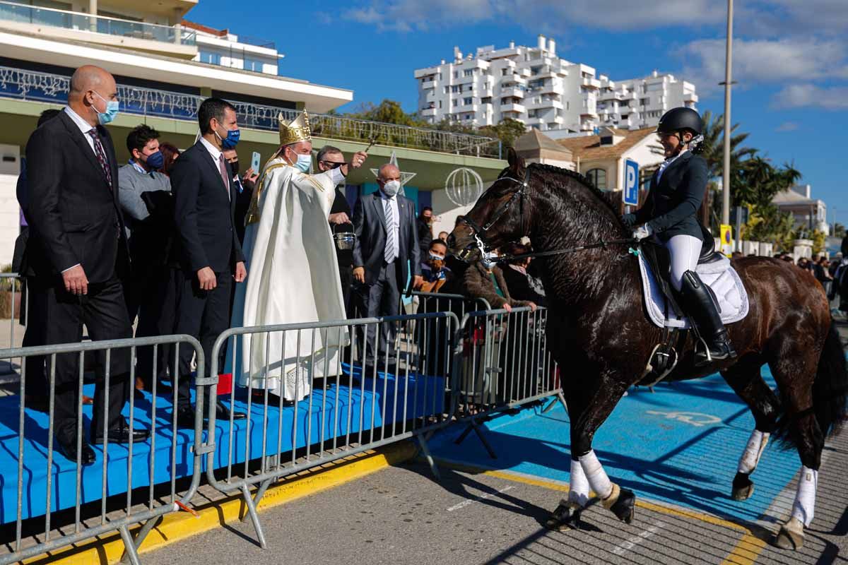 Bendición de animales en Sant Antoni