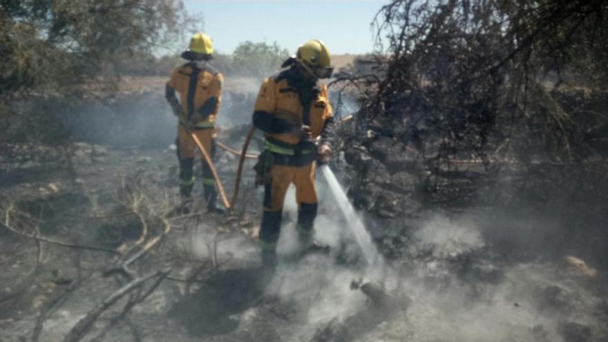 Im Gebiet von Es Rafal Nou bei Manacor im Osten von Mallorca ist das Feuer bereits unter Kontrolle.