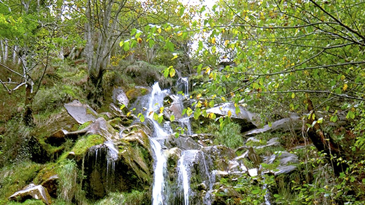 Cascada de Xurbeo, Murias