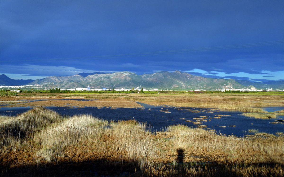 Finca del Pou en la marjal de Nules.