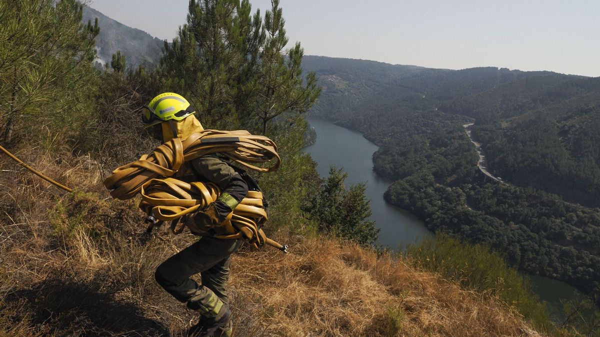 Estabilizado el mayor incendio de la historia de Galicia tras devorar 30.000 hectáreas en Ourense