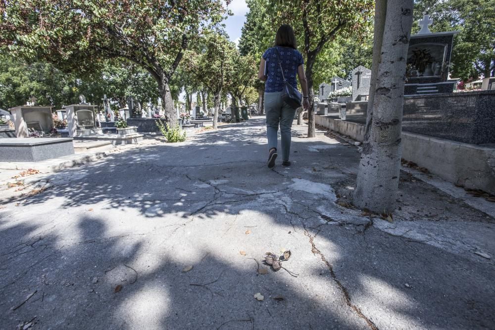 Visitantes critican la imagen actual del camposanto de la capital, que acumula falta de mantenimiento y de limpieza.