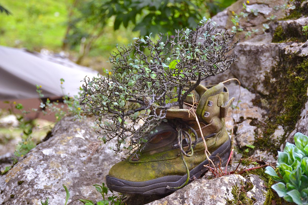 Una de las viejas botas de montañeros, cedidas a Mercedes Mier para convertirlas en peculiares macetas delante de su establecimiento, en Bulnes.