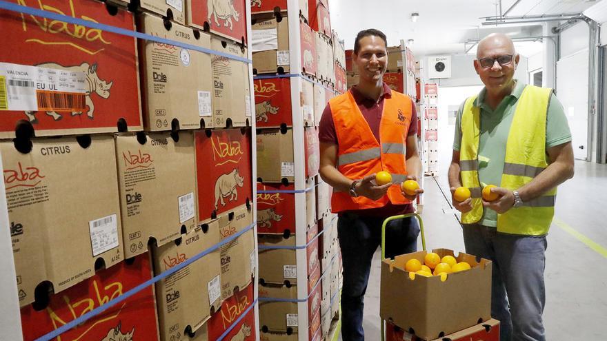 Guixar pierde 4.000 contenedores de naranjas al año a causa del veto de Sudáfrica a España