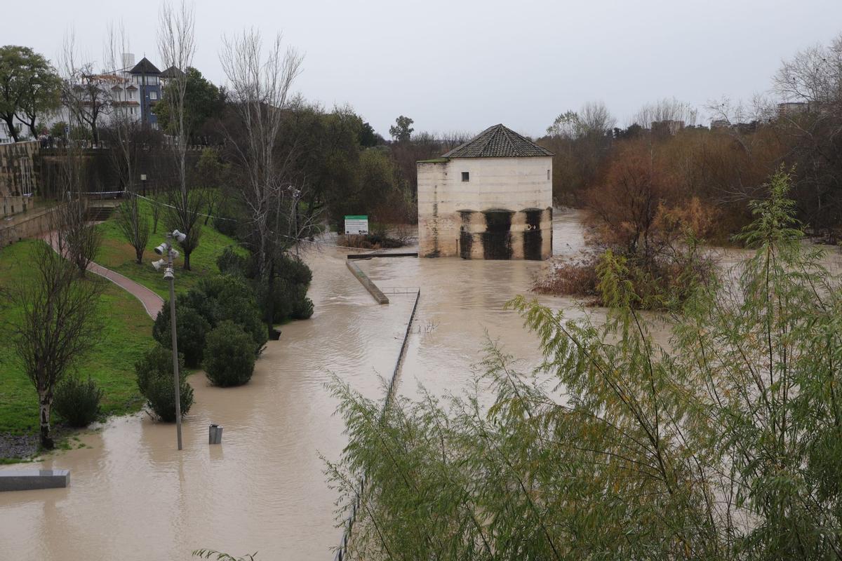 La zona del Molino de Martos, inundada este miércoles.