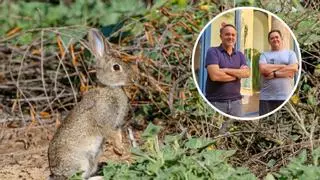 El conejo que llevaba dos millones de años oculto a simple vista: un estudio de Córdoba revela una nueva especie