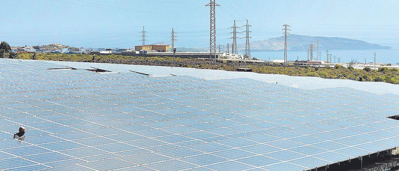 Parque de placas fotovoltaicas en unos terrenos del Sureste de la Isla.