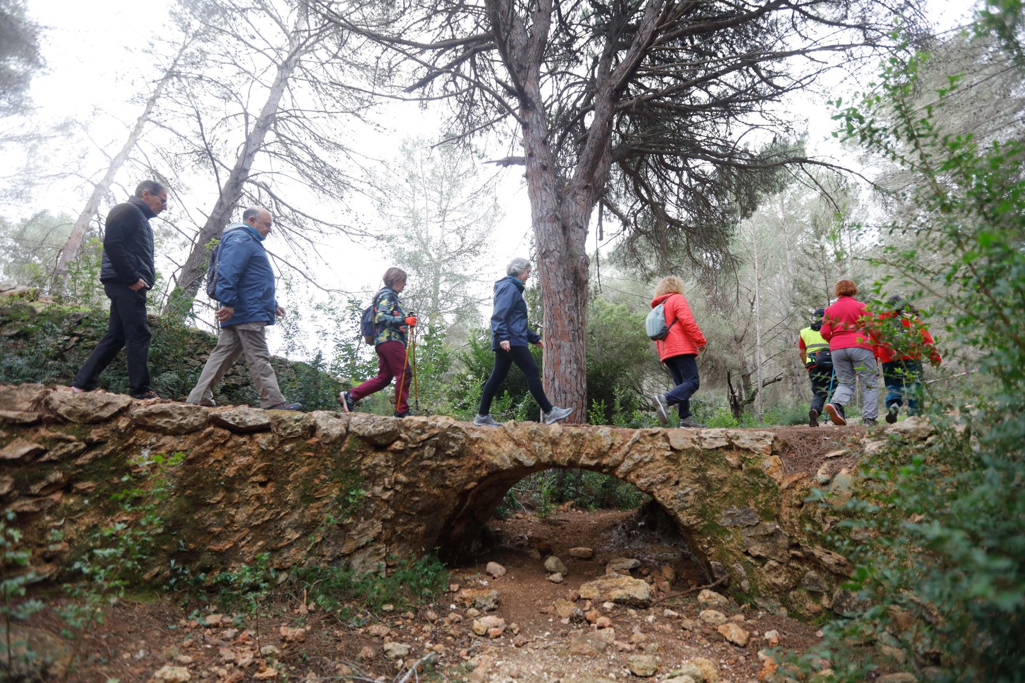 Un paseo contra el cáncer