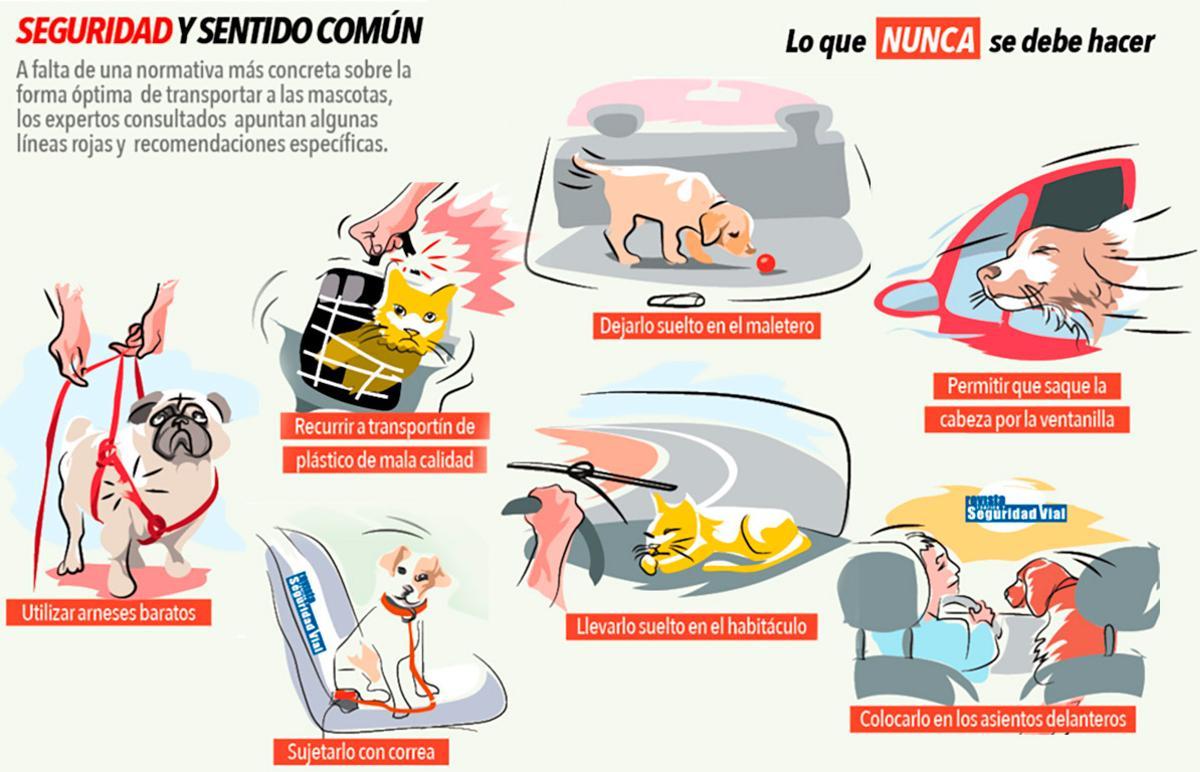 La DGT explica cómo colocar el reposacabezas de nuestro coche correctamente