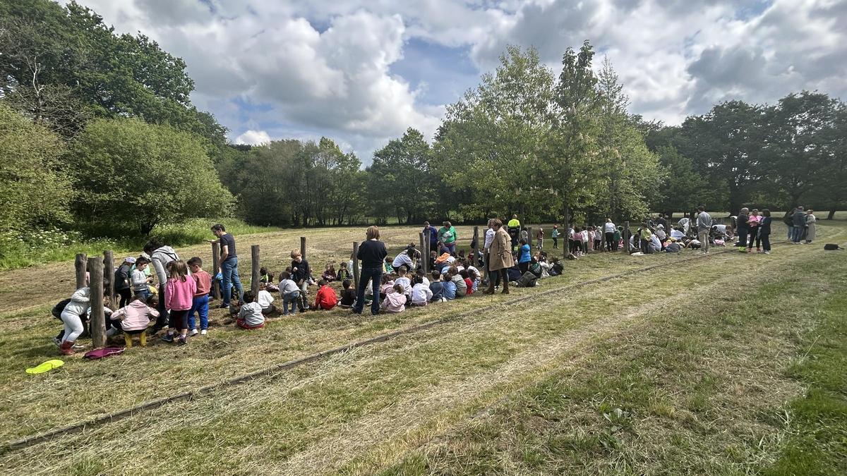 Los niños, en la plantación de los abedules