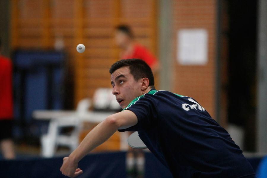 Torneo de tenis de mesa