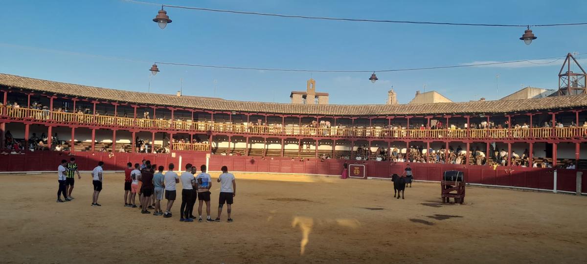 GALERÍA | La Fuente de Vino en la plaza de toros de Toro, en imágenes