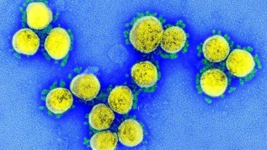 El virus de la COVID-19 ni se creó ni se escapó de un laboratorio