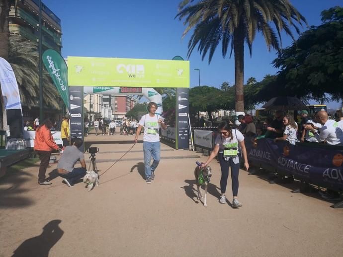 Carrera de mascotas Can We Run