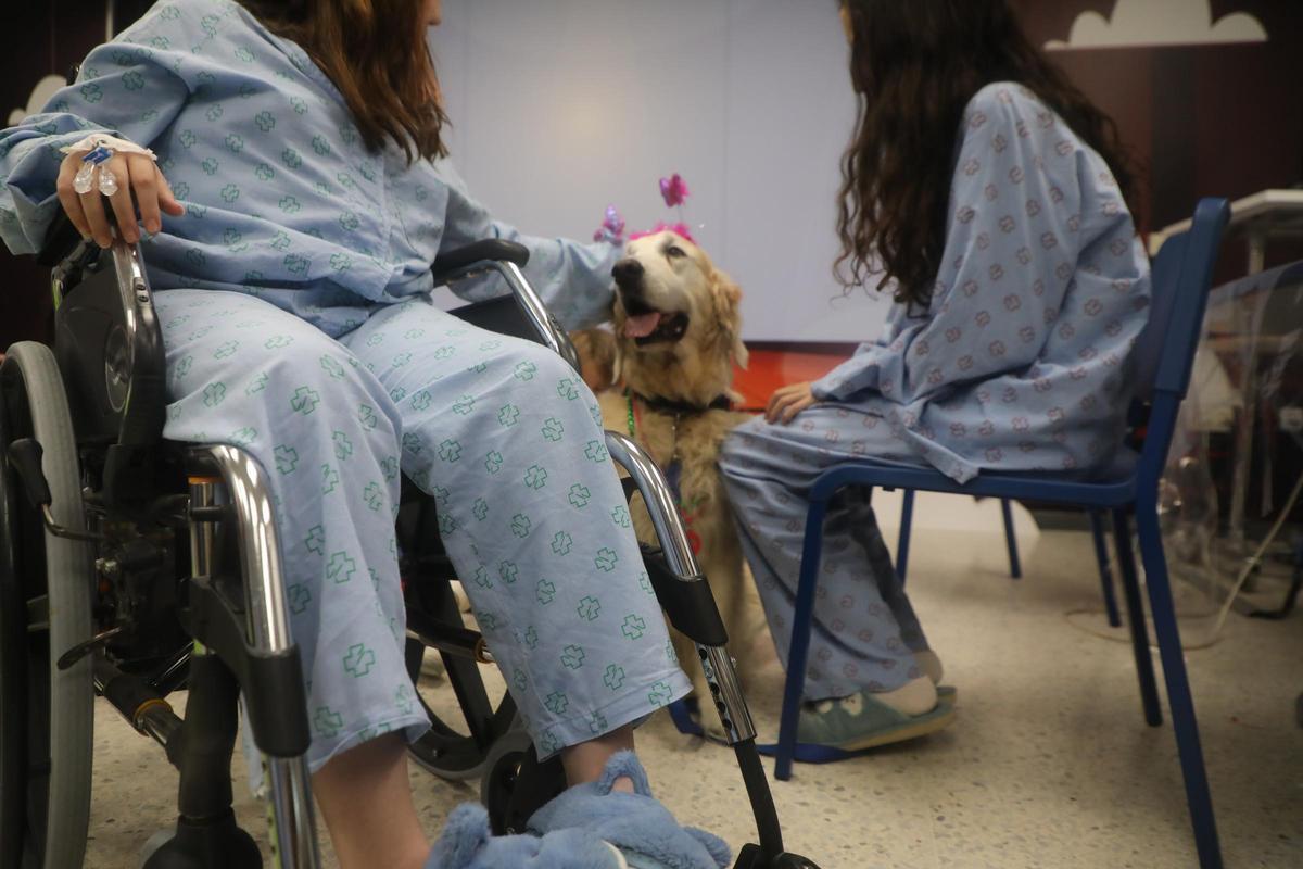 Pacientes con un perro en el Chus