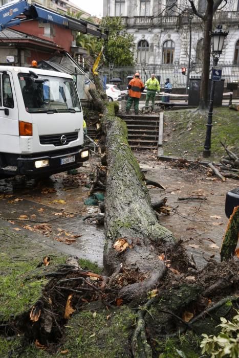 Destrozos en El Escorialín