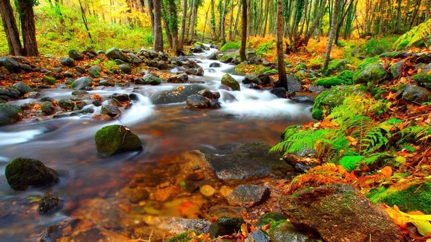 El &#039;Otoño mágico&#039; del Ambroz homenajeará a Pau Donés