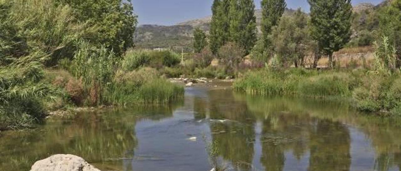 La nutria vuelve al río Serpis tras 70 años