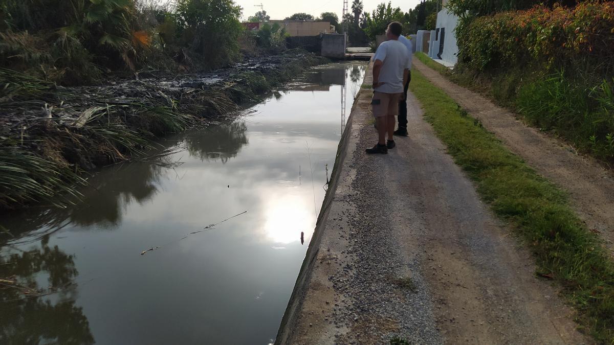 Acequia de la zona de la Almalafa de Castelló.