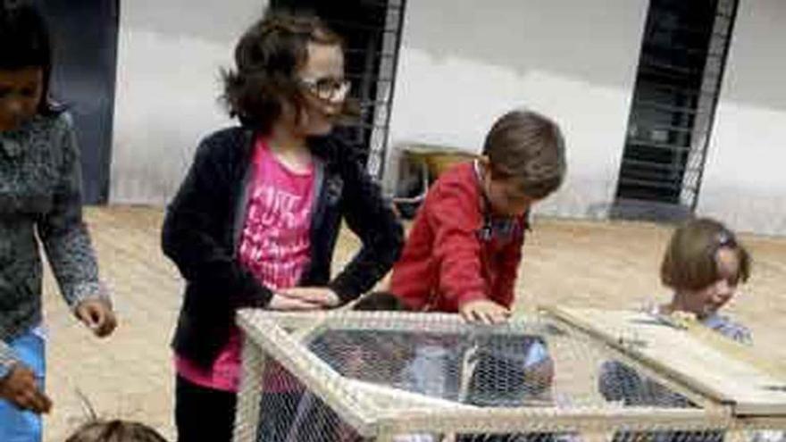 Desarrollo de una de las actividades del campamento.