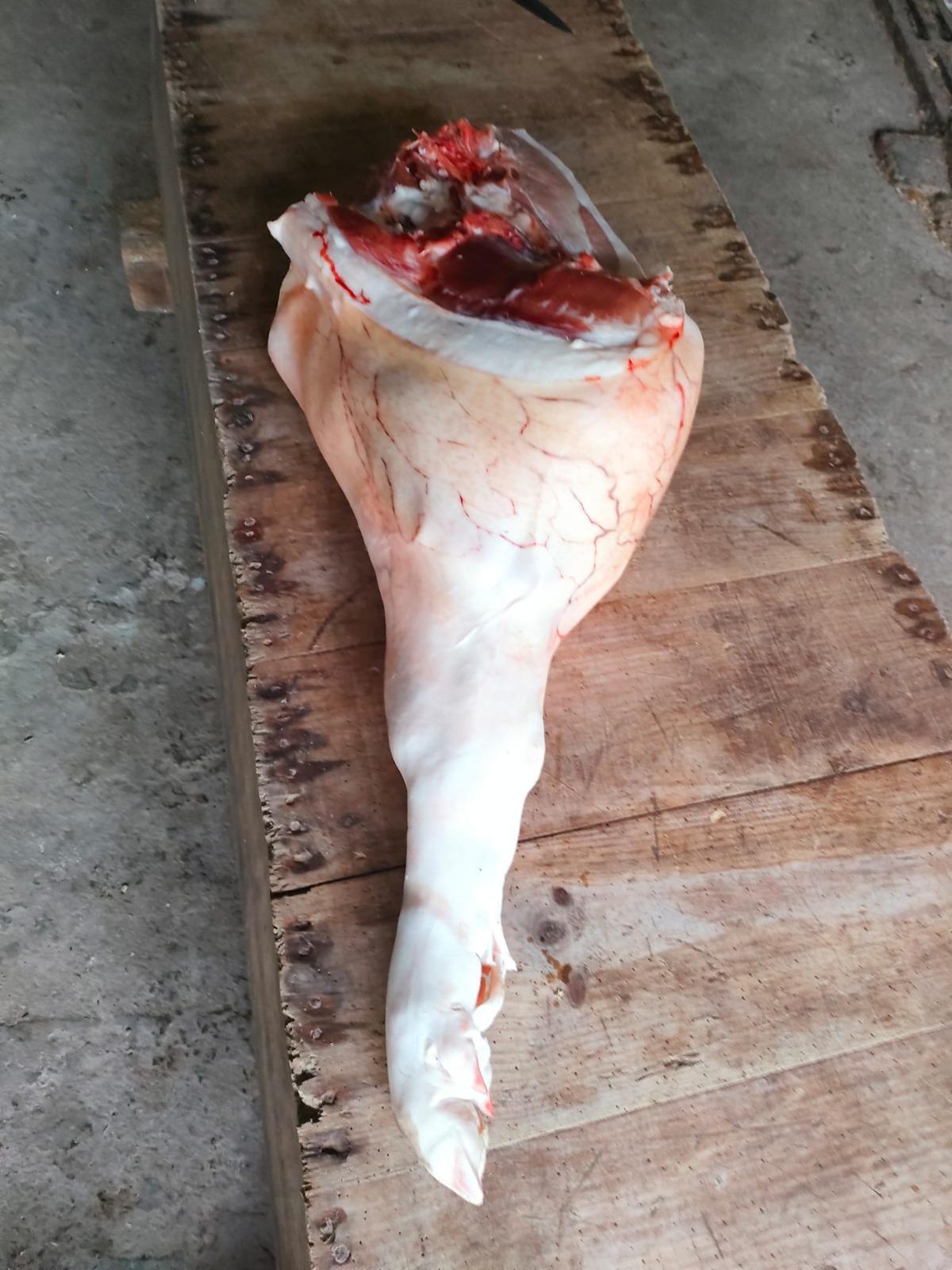 La matanza del cerdo resiste en Galicia: "Es la comida de todo el año"