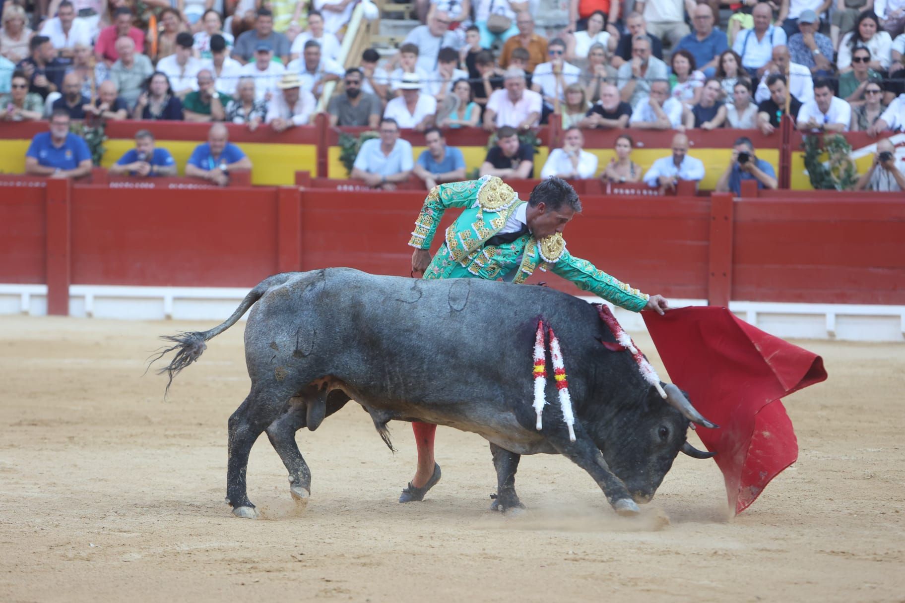 Así ha sido la tarde de Toros de Victorino Martín para Manuel Escribano, en solitario, en Alicante