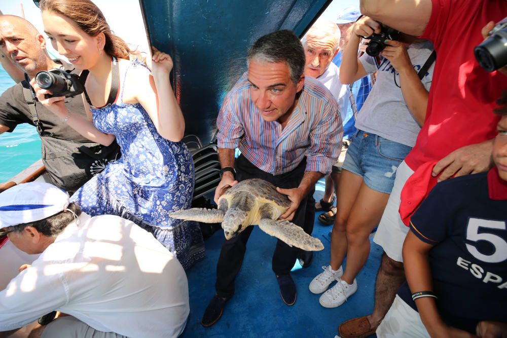 El animal ha permanecido un año en las instalaciones del Aula del Mar de Málaga recuperándose de sus heridas, hasta su completo restablecimiento