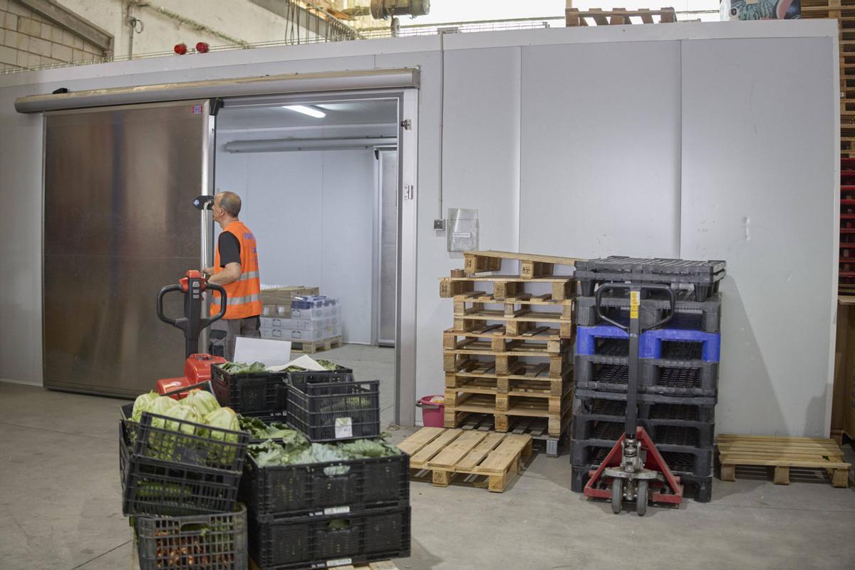 Les imatges del Banc d'Aliments de Girona
