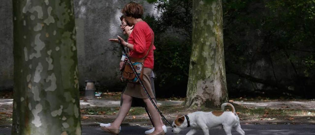 Dos mujeres pasean por el parque de Ferrera con un perro.