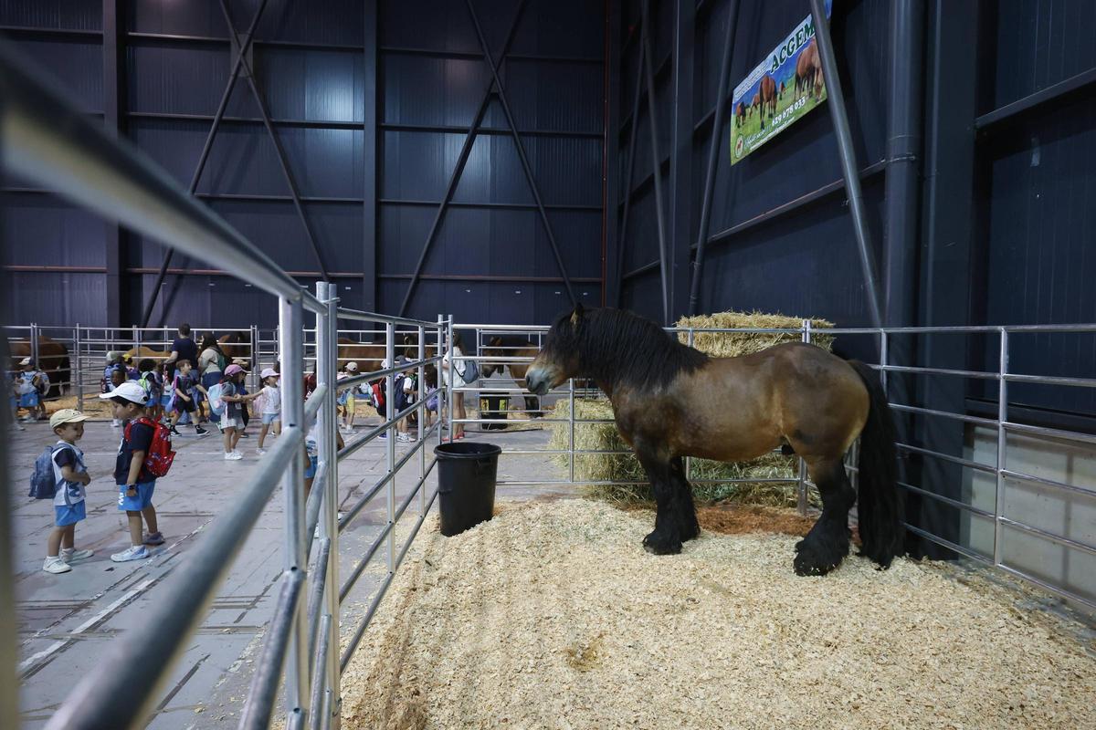 Los más pequeños disfrutan de un anticipo de la feria de San Antonio en Gijón (en imágenes) Los más pequeños disfrutan de un anticipo de la feria de San Antonio en Gijón (en imágenes)