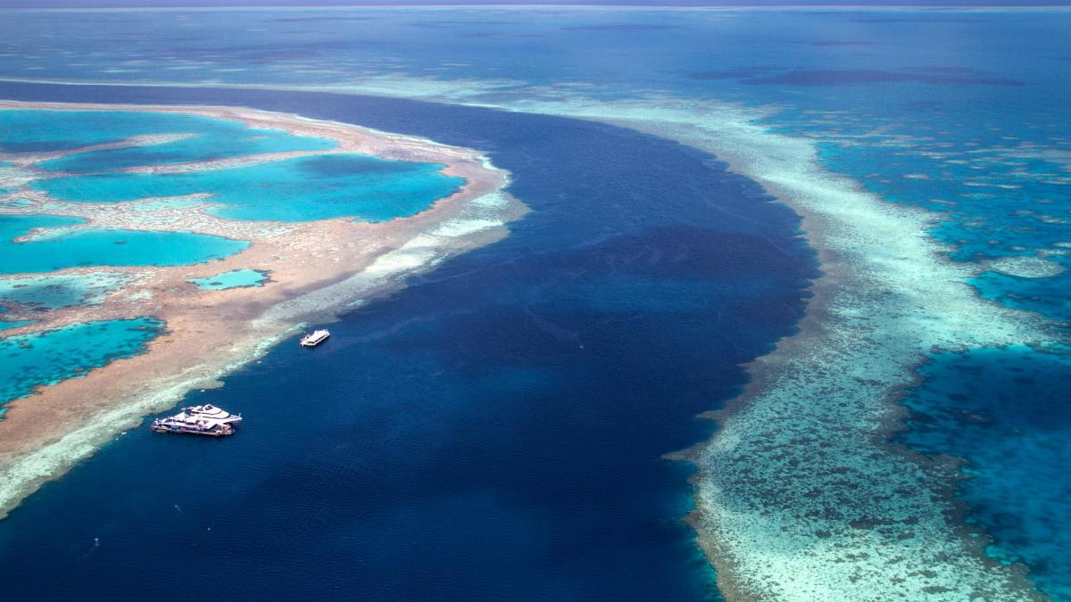 Gran Barrera de Coral.