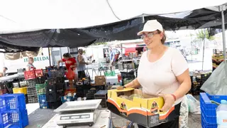 La mortalidad por calor se dispara en julio: en una semana dobla a la de todo junio en la Comunidad Valenciana