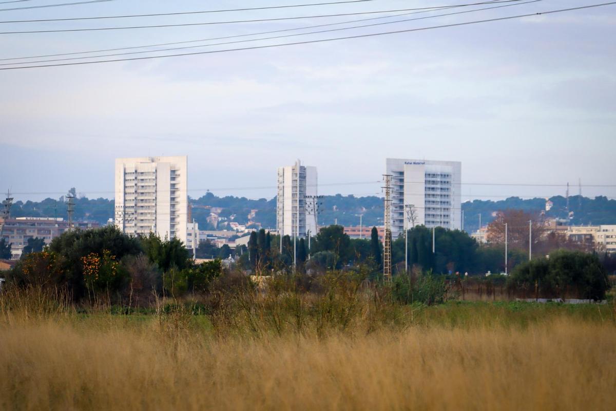 Un solar con vegetación en Torrent.