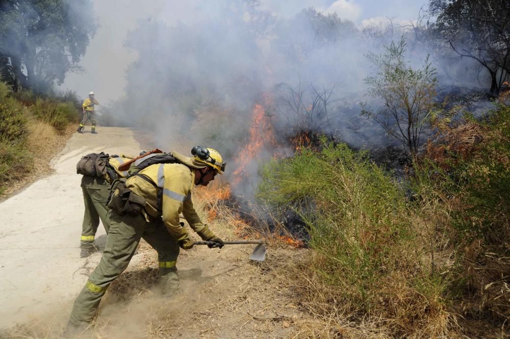 Cinco años desde el gran incendio de la Costa del Sol