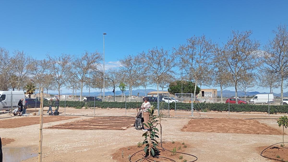 La Besana està situat en el marge del barri Torrefiel, junt a la Ronda Nord, que el separa de l’Horta.