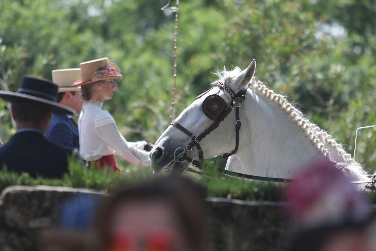 Exhibición de enganches en El Arenal