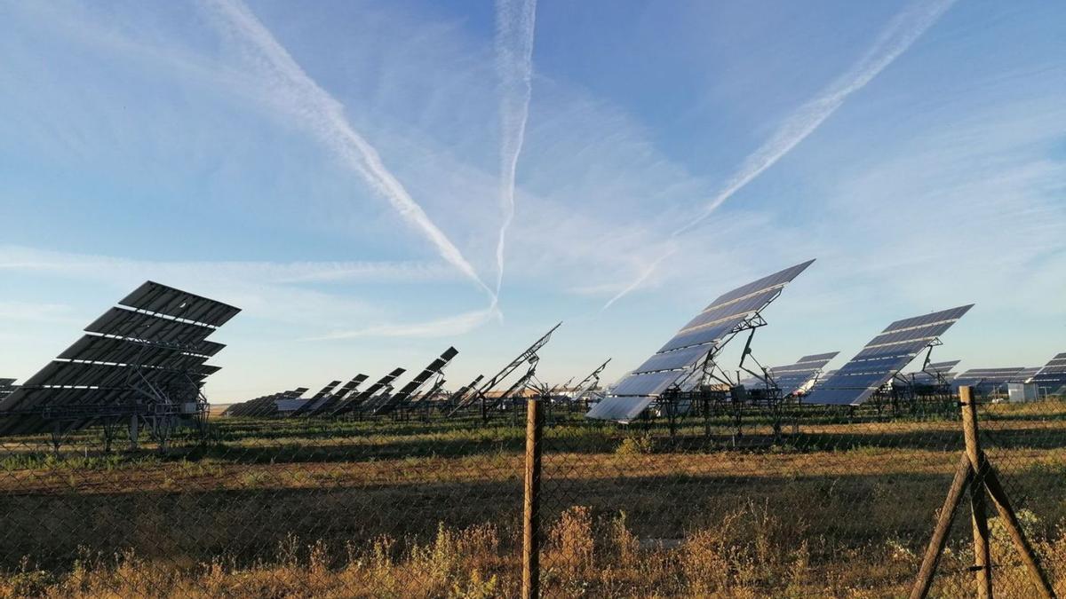 Una planta solar en funcionamiento en la provincia