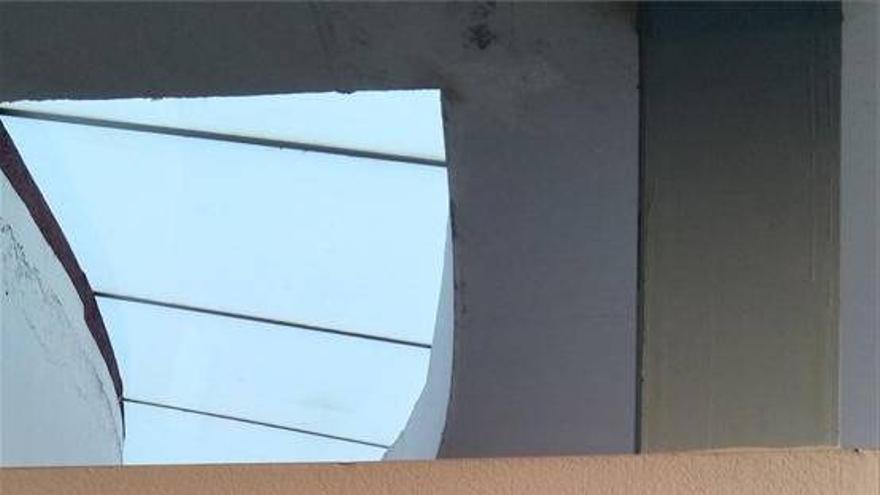 "Para fabricar órganos queda mucho por andar"