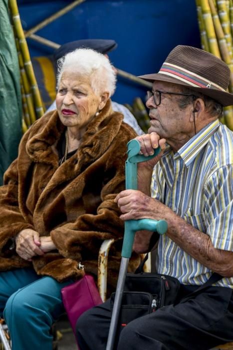 08-12-19 GRAN CANARIA. JINAMAR. JINAMAR. TELDE. Fiesta de la Inmaculade Concepcion y de la Caña Dulce de Jinamar, feria de ganado, procesión.. Fotos: Juan Castro.  | 08/12/2019 | Fotógrafo: Juan Carlos Castro