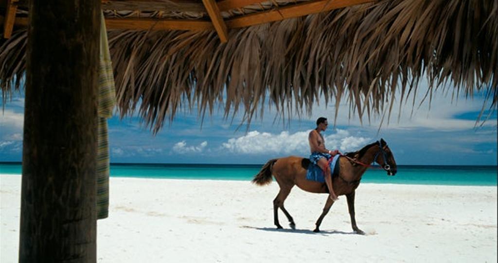 Paseo a caballo por la playa de Harbour Island.