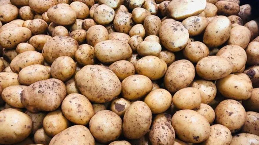 Un agricultor canario pide ayuda para vender 40.000 kilos de papas del país