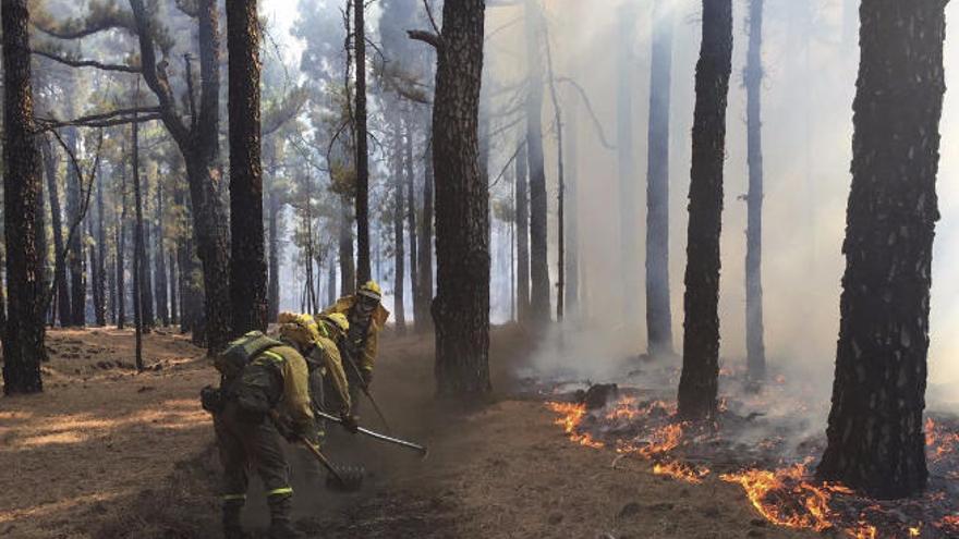 El incendio afecta casi al siete por ciento de la superficie de La Palma