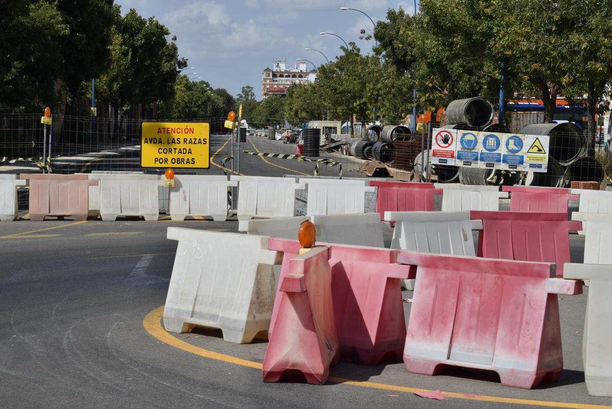 Obras en la avenida de Las Razas agosto 2024