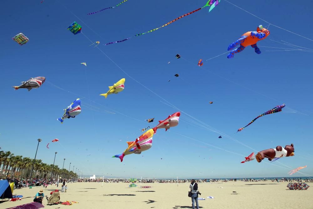 Festival del Viento 2016 en la Malva-rosa