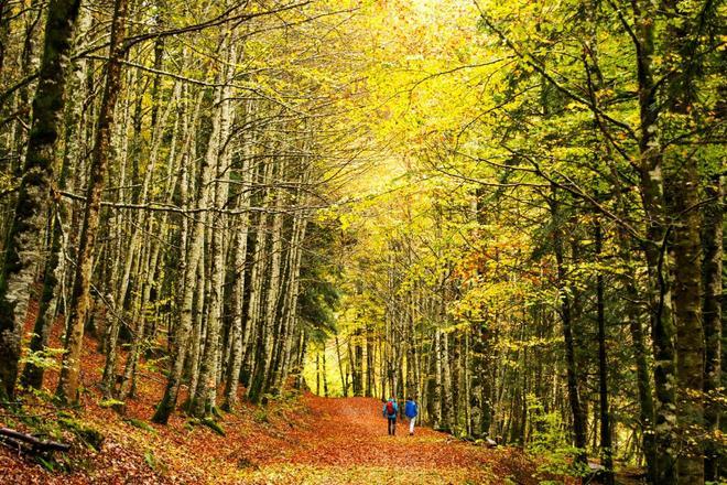 Selva de Irati, pueblos bonitos españoles en otoño
