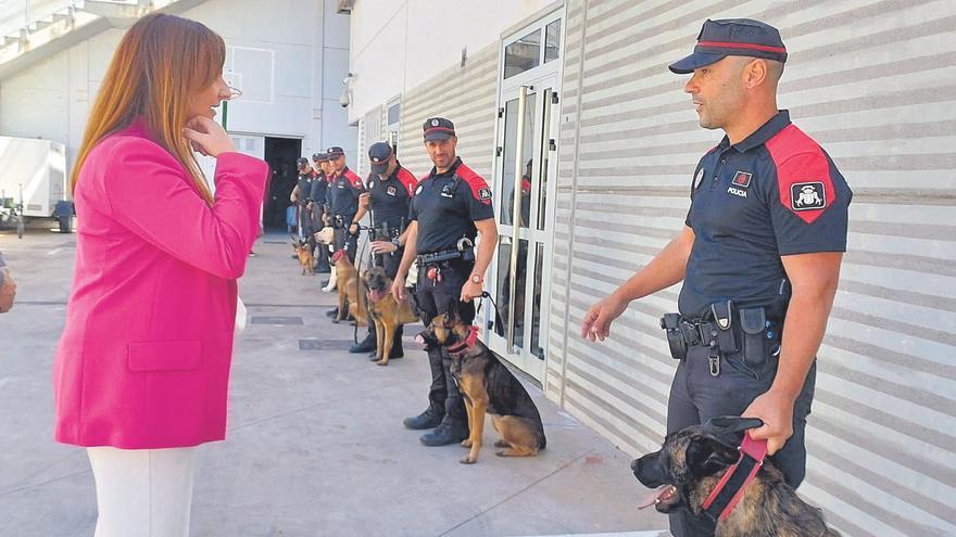 Seis canes con placa policial