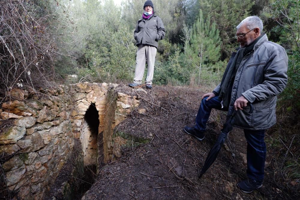 La fuente que alimentaba el canal de Fruitera y los huertos cercanos a Santa Gertrudis vuelve a estar a la vista